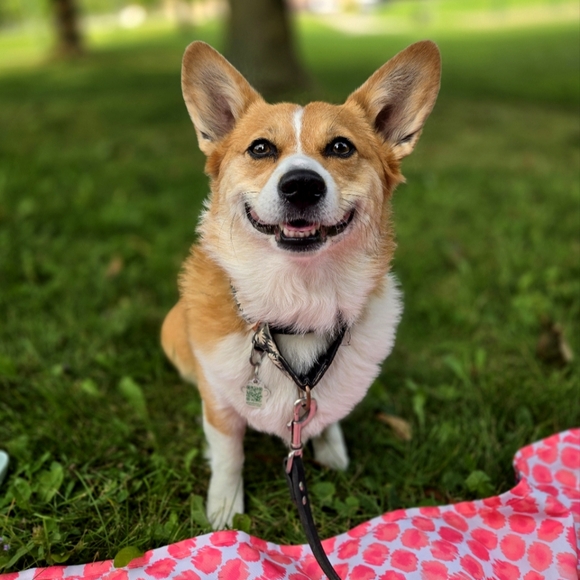 Meet your Posher, Hilary - Picture 1 of 2